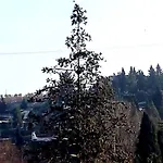 Hotel Main Street 3*