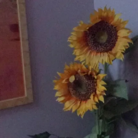 호텔 Main Street 3*