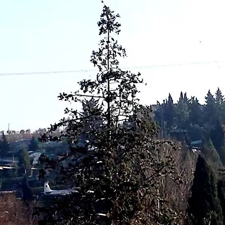 호텔 Main Street 3*