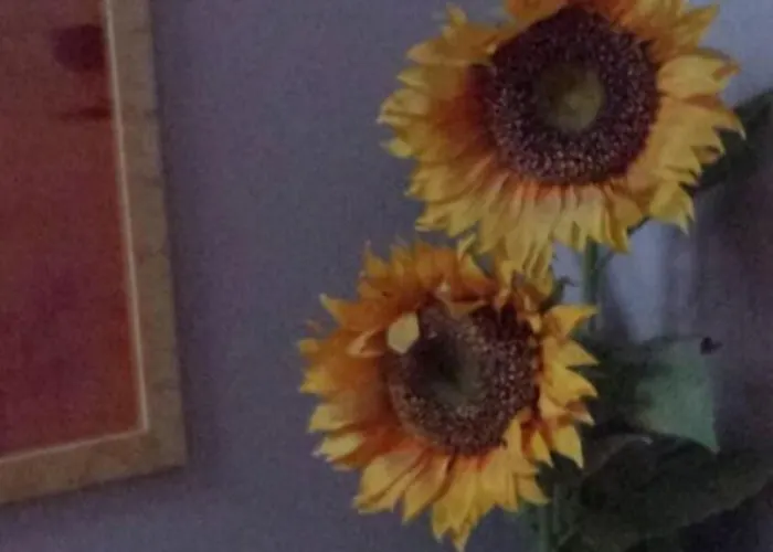 Hotel Main Street 3*