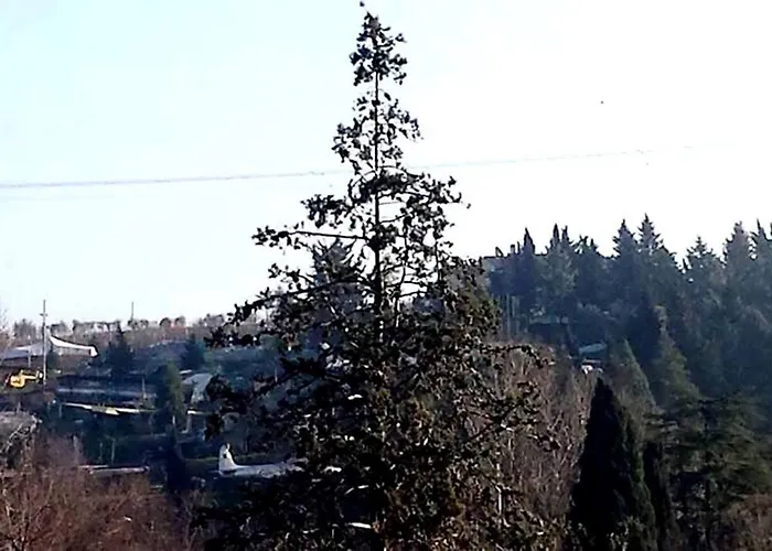 酒店 大街酒店 3*